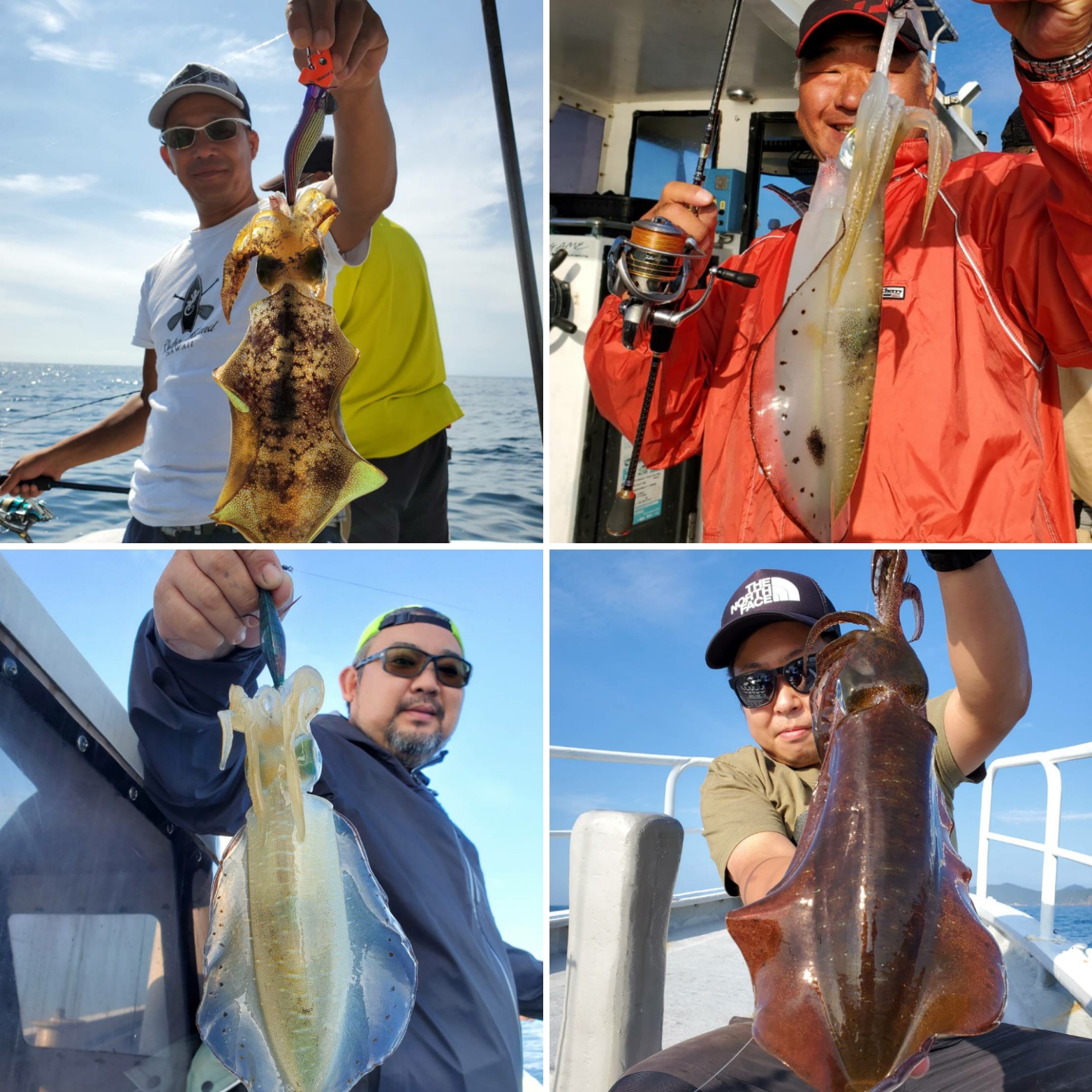 アオリイカ ミズイカ モイカ 全国の釣り場情報を地図と釣れる魚から調べることができるサイト 全国釣り場 Com
