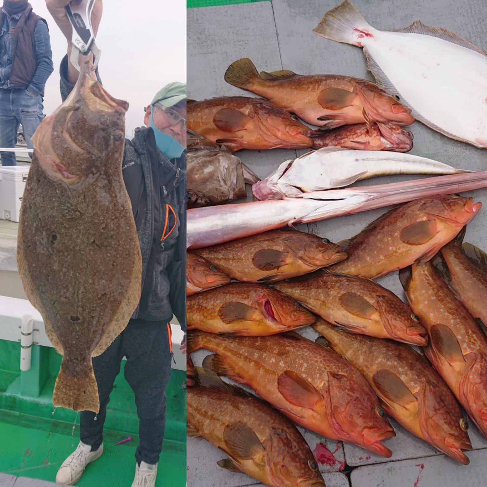 キジハタ アコウ 全国の釣り場情報を地図と釣れる魚から調べることができるサイト 全国釣り場 Com キジハタ アコウ 全国の釣り場情報を地図と釣れる魚から調べることができるサイト 全国釣り場 Com