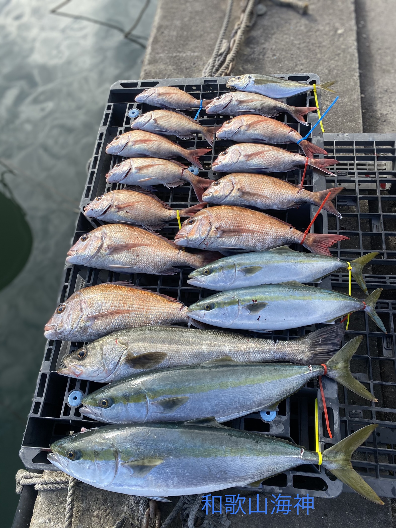 遊漁船 海神 全国の釣り場情報を地図と釣れる魚から調べることができるサイト 全国釣り場 Com 遊漁船 海神 全国の釣り場情報を地図と釣れる魚から調べることができるサイト 全国釣り場 Com