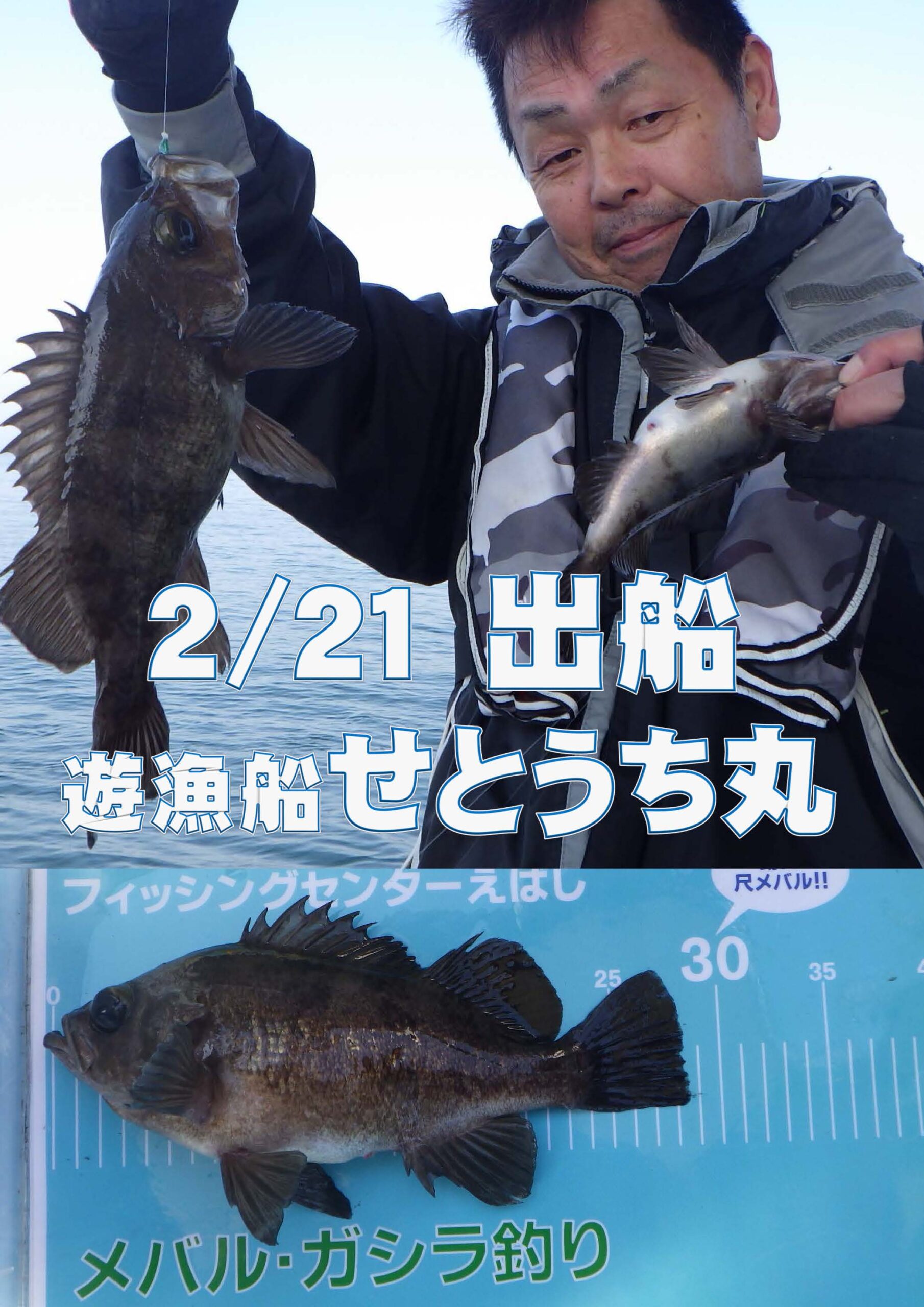 メバル 全国の釣り場情報を地図と釣れる魚から調べることができるサイト 全国釣り場 Com