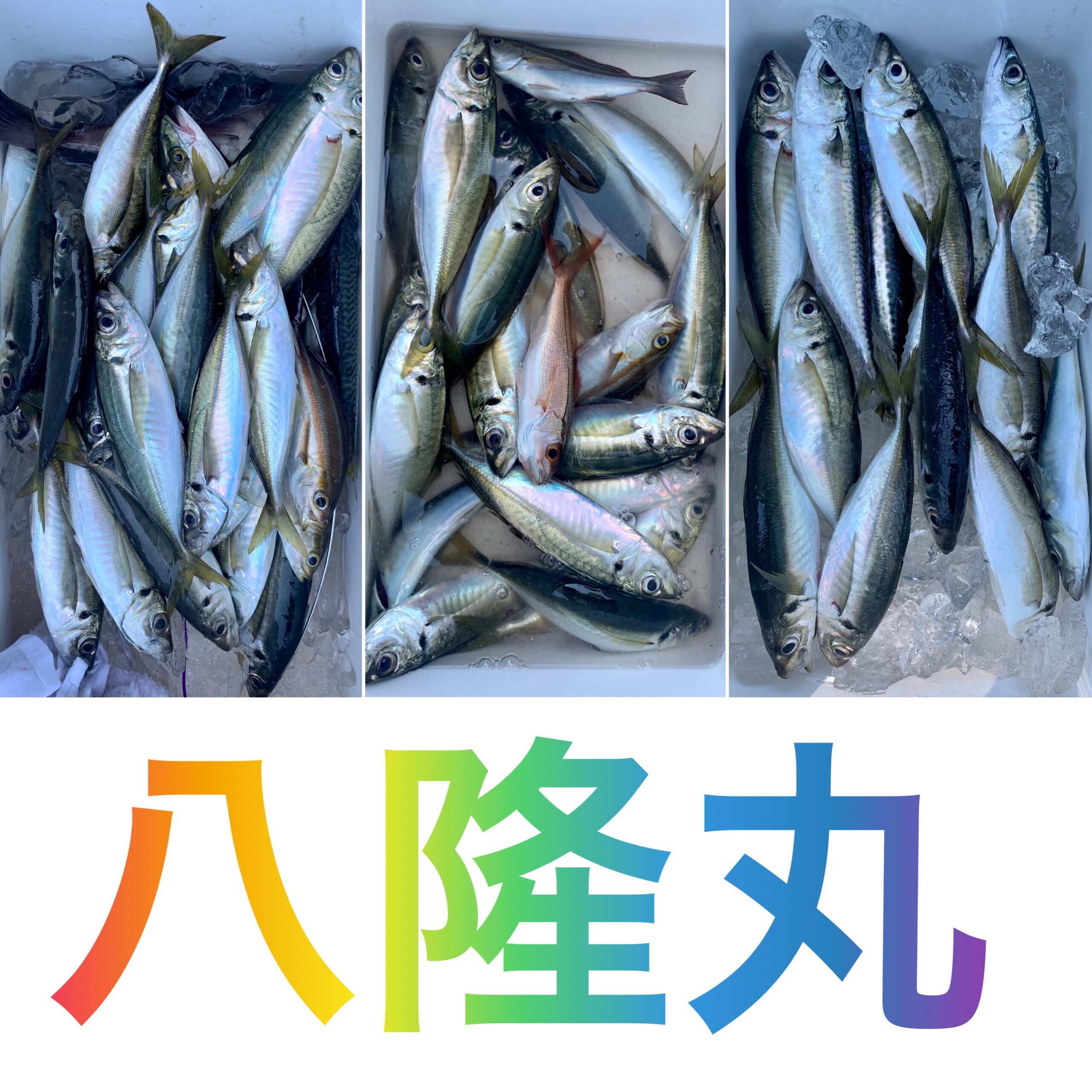 釣り船 八隆丸 全国の釣り場情報を地図と釣れる魚から調べることができるサイト 全国釣り場 Com