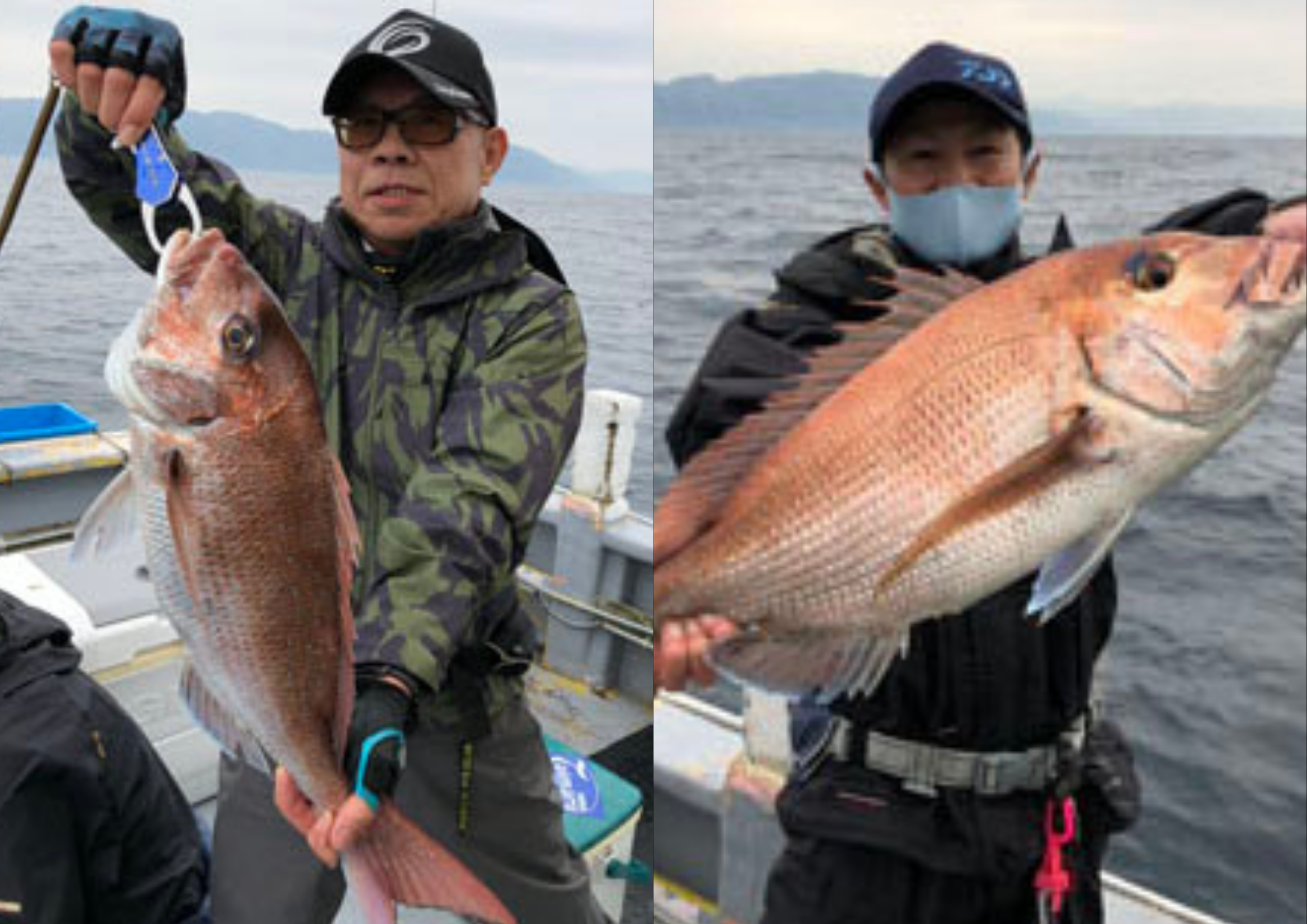 タルイカ 全国の釣り場情報を地図と釣れる魚から調べることができるサイト 全国釣り場 Com タルイカ 全国の釣り場情報を地図と釣れる魚から調べることができるサイト 全国釣り場 Com