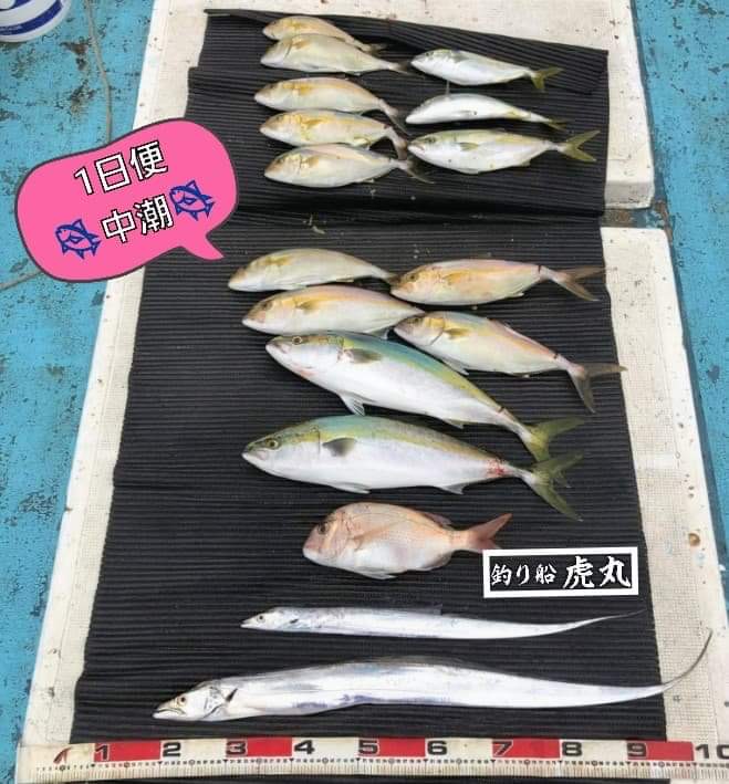 青物 全国の釣り場情報を地図と釣れる魚から調べることができるサイト 全国釣り場 Com Part 72 青物 全国の釣り場情報を地図と釣れる魚から調べることができるサイト 全国釣り場 Com Part 72