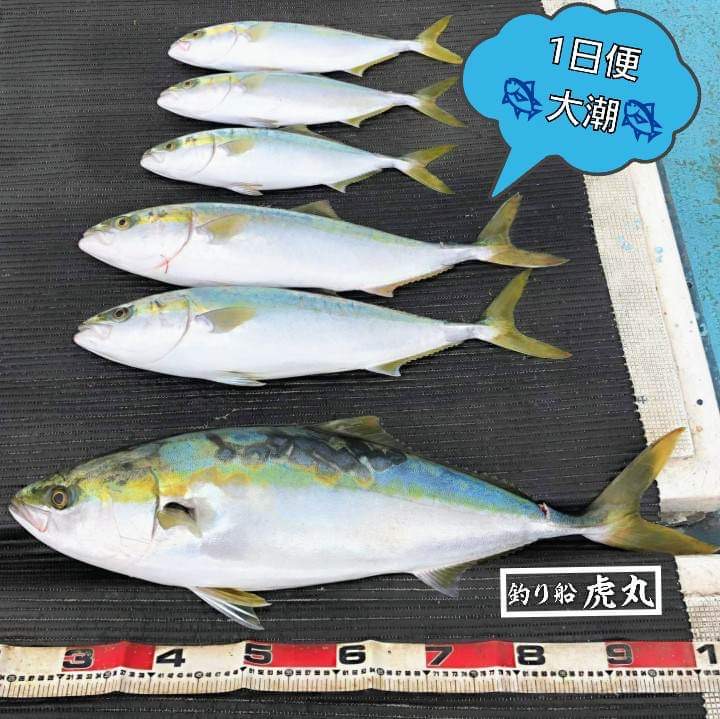 最大87%OFFクーポン Boatfishing 中四国釣り情報誌 sushitai.com.mx